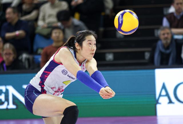 九游体育app-女排23人世联赛名单朱婷在列 确认回归or个人决定